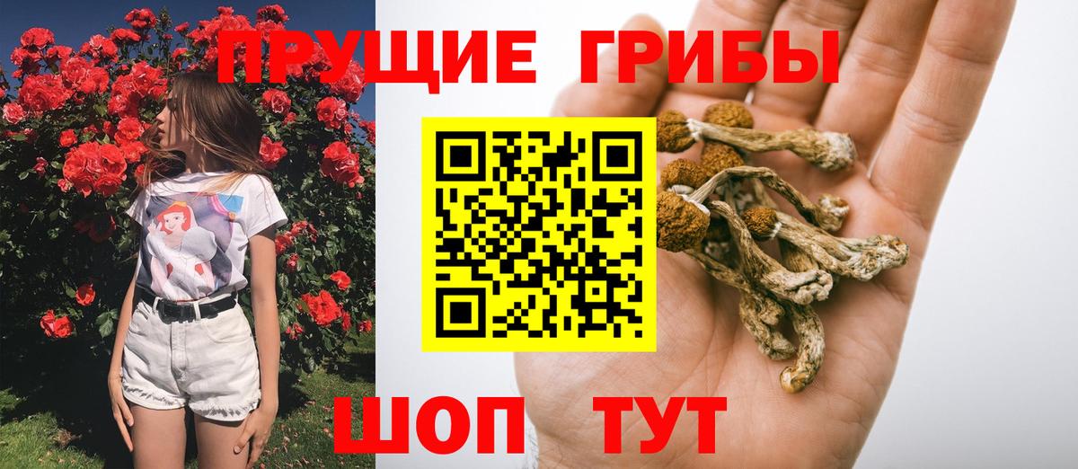 Галлюциногенные грибы ЛСД Сургут