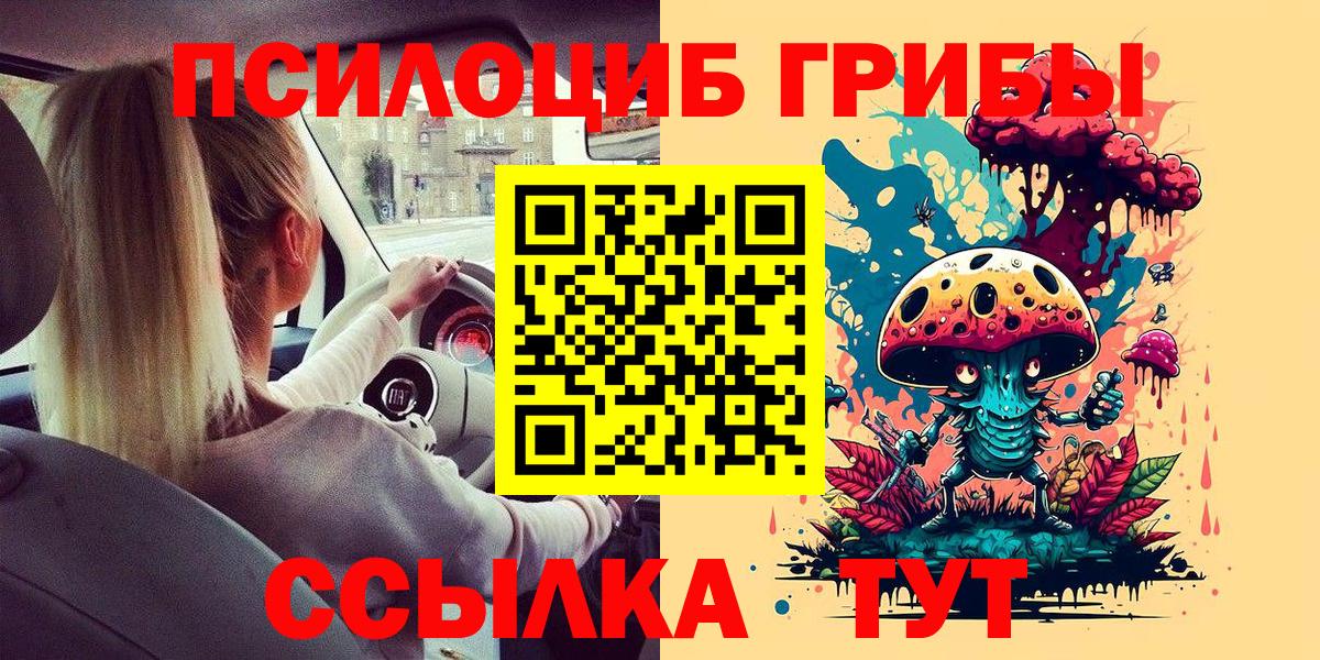 Сургут  Псилоцибиновые грибы Psilocybe  Вход с VPN 